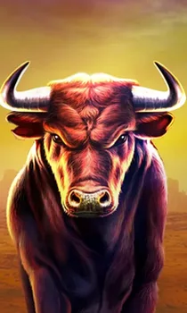 Black Bull